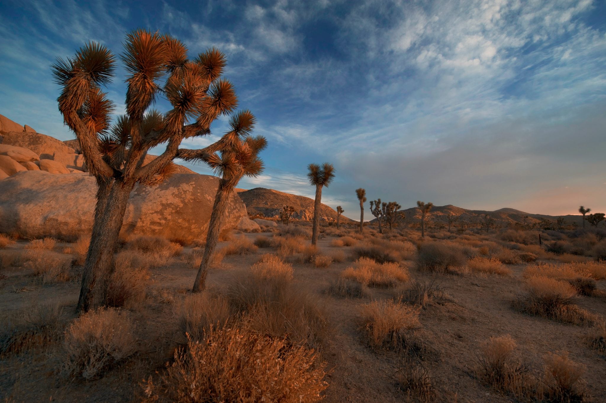 Palm Springs Los Angeles Getaway - CaliQuests