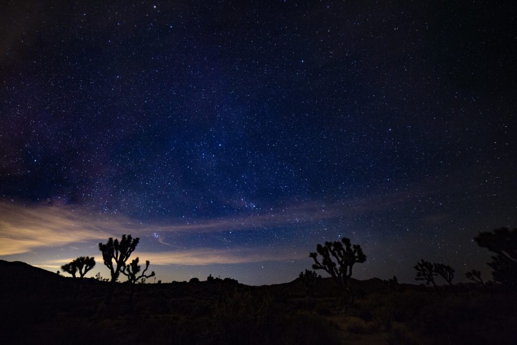 Joshua Tree National Park The Top 9 California National Parks | CaliQuests