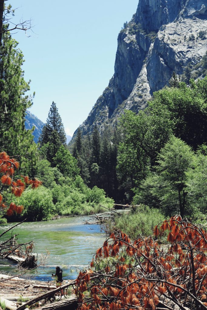 Kings Canyon National Park - The Top 9 California National Parks | CaliQuests